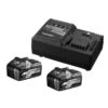 Booster Pack 2 Batteries Multi-Volt Hikoki 18 - 36 V / 8 - 4 Ah + Chargeur UC18YSL3 - UC18YSL3WFZ -Outils Soldes AFD 116845