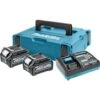 Pack énergie 40V Makita Max XGT Lithium-Ion (2 Batteries 2,5 Ah + Chargeur) + Coffret MAKPAC - 191J81-6 2 Pack énergie 40V Makita Max XGT Lithium-Ion (2 Batteries 2,5 Ah + Chargeur) + Coffret MAKPAC - 191J81-6 -Outils Soldes AFD 143648