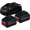 Pack De 2 Batteries 18V Bosch ProCore 5,5 Ah + Chargeur GAL 1880 CV Professional - 1600A0214C