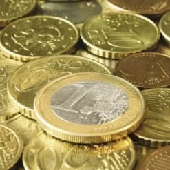 Karcher Brosse-tapis 230V Kärcher M 80 Monophasé - 15349160 -Outils Soldes AFD 185754